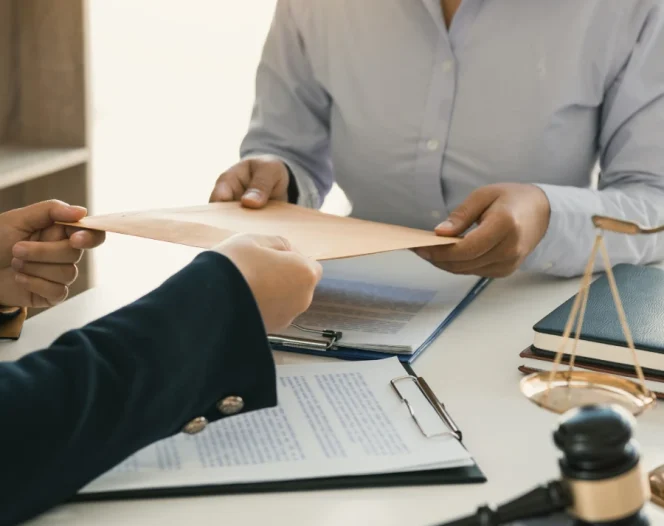 professional lawyer clp 1