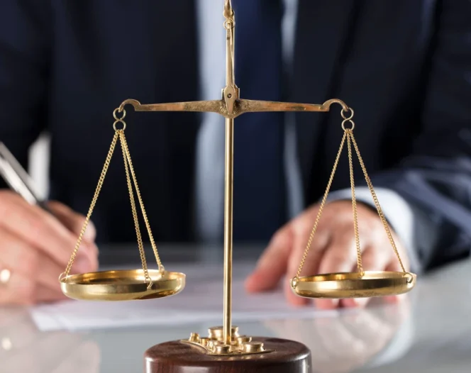 professional lawyer clp 2